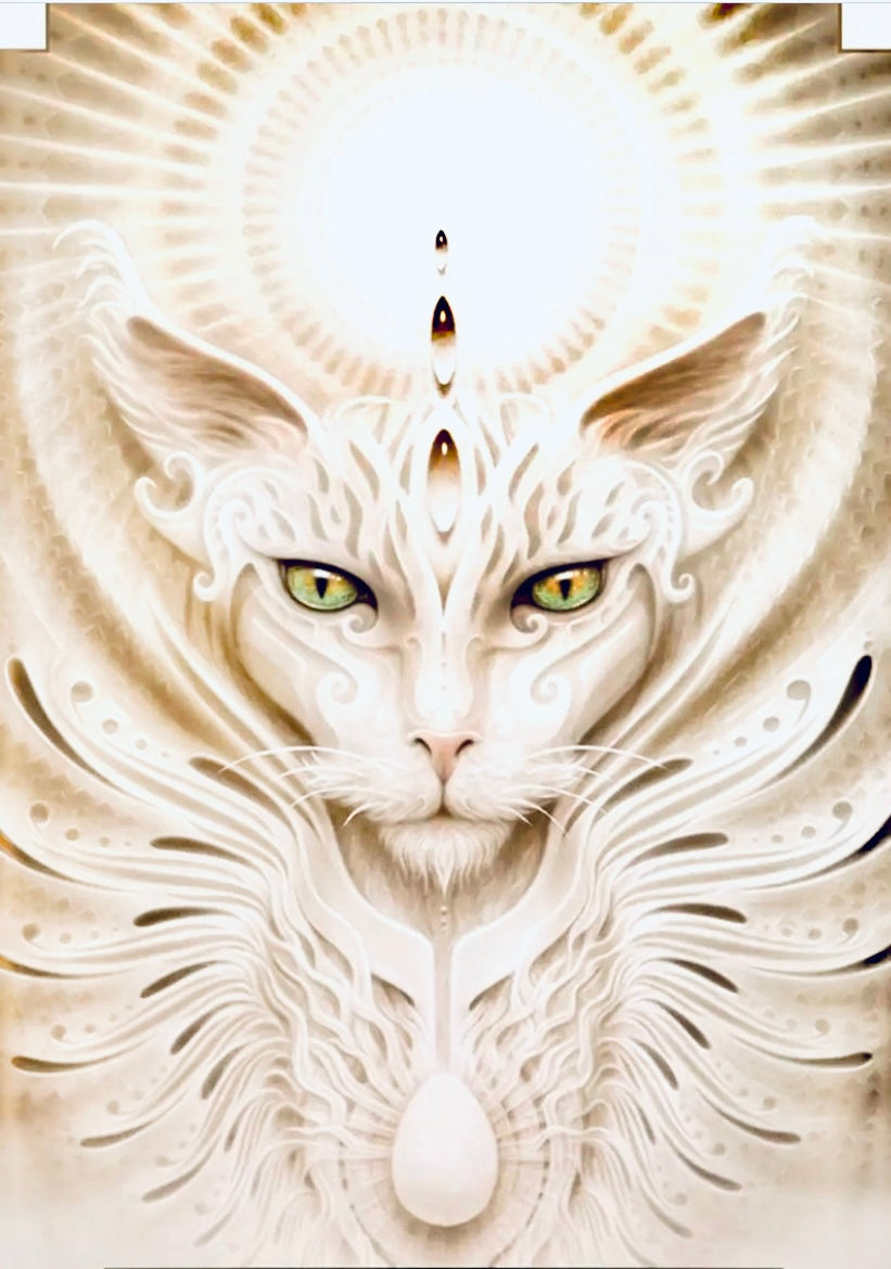 MultiDimensional Psychic Channeling