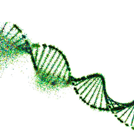 DNA Activation Series of (3)