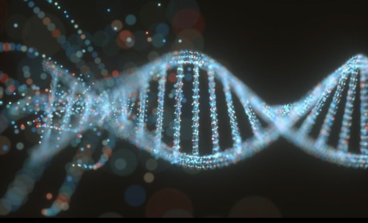 DNA Activation (1st Time)