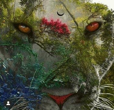 5-Day Alchemy, Activation & Yoga retreat, Uvita Costa Rica (July 25-29, 2024)