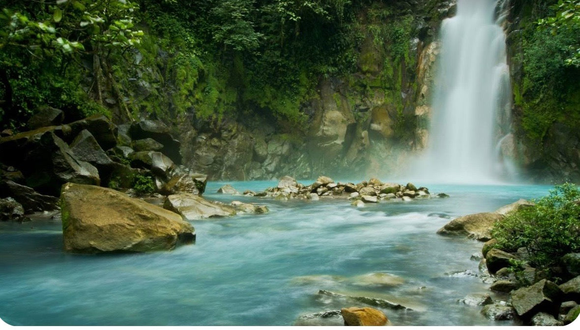 5-Day Alchemy, Activation & Yoga retreat, Uvita Costa Rica (July 25-29, 2024)