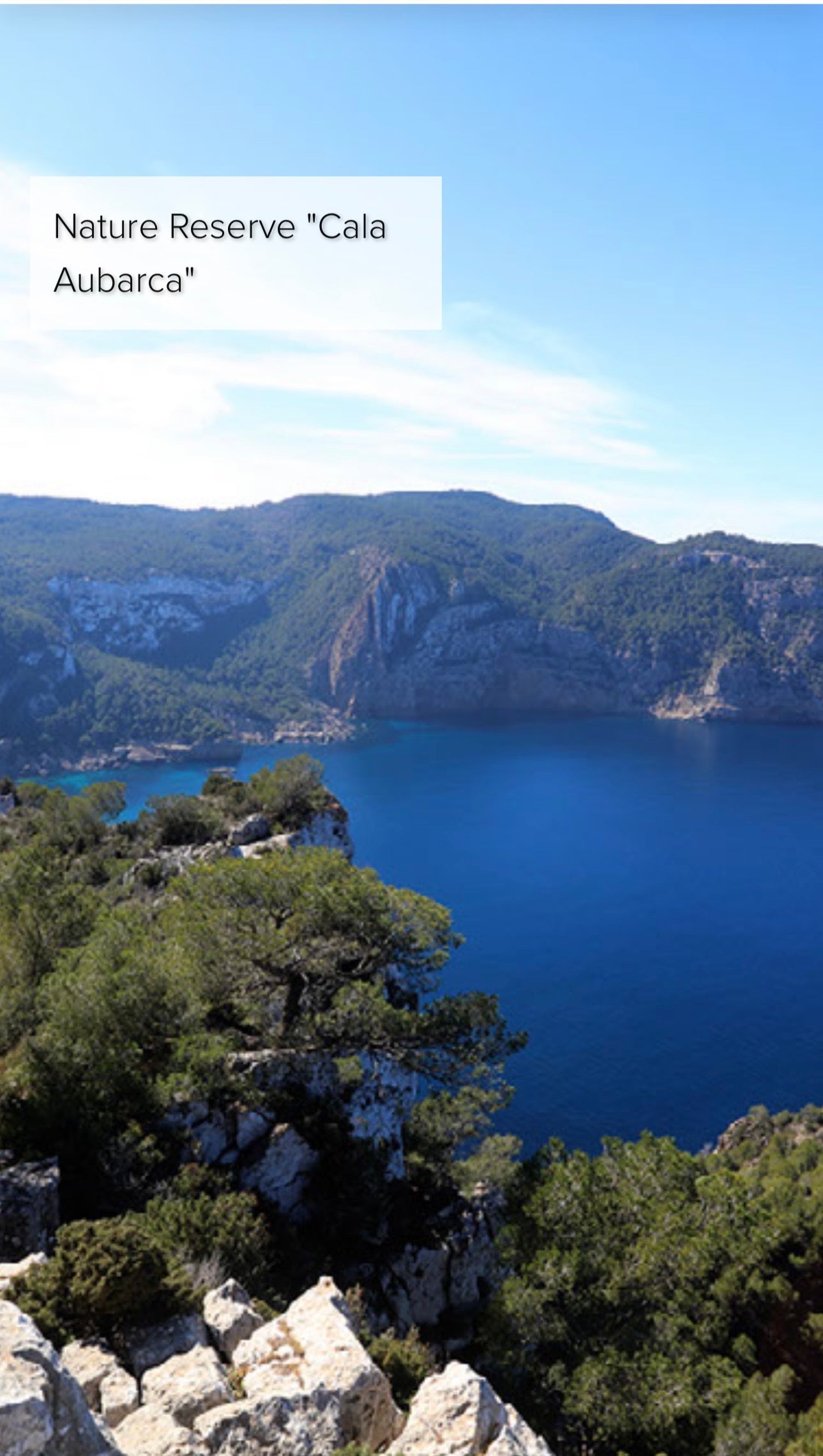 5-Day Longevity Luxury Lifestyle reset, IBIZA  (April, May 2026)