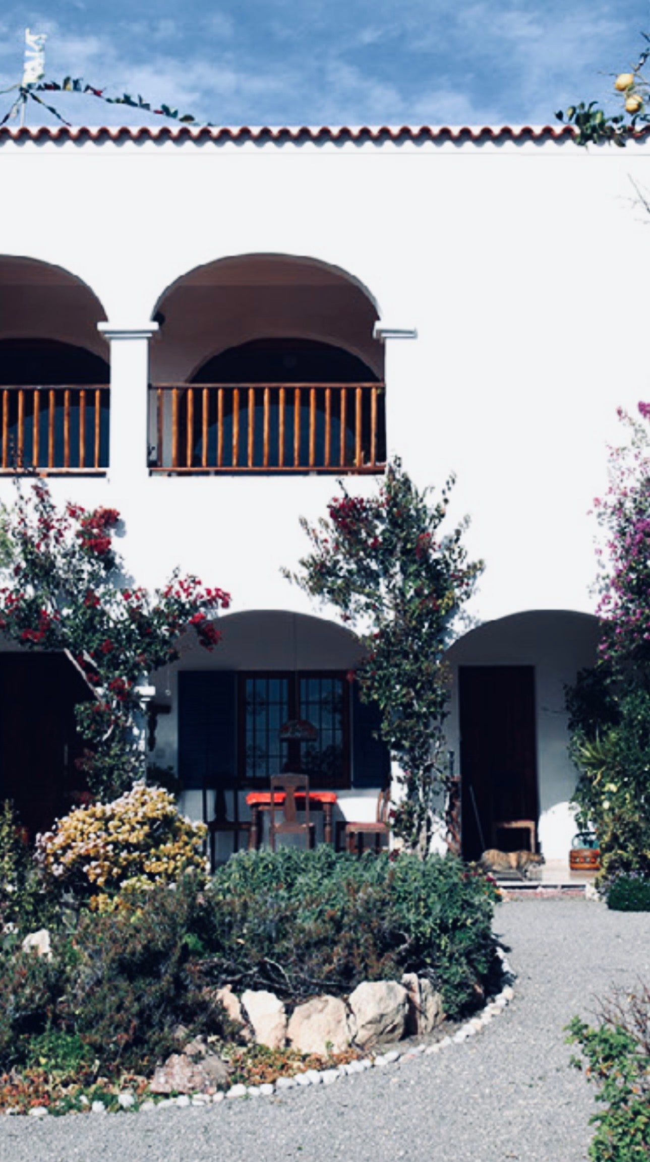 5-Day Longevity Luxury Lifestyle reset, IBIZA  (April, May 2026)