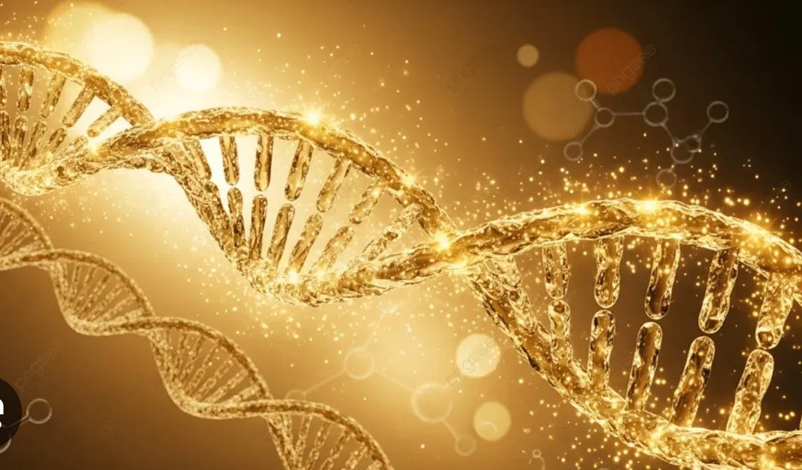 High Energy, Elixirs + DNA Activation (7-Day) Reset