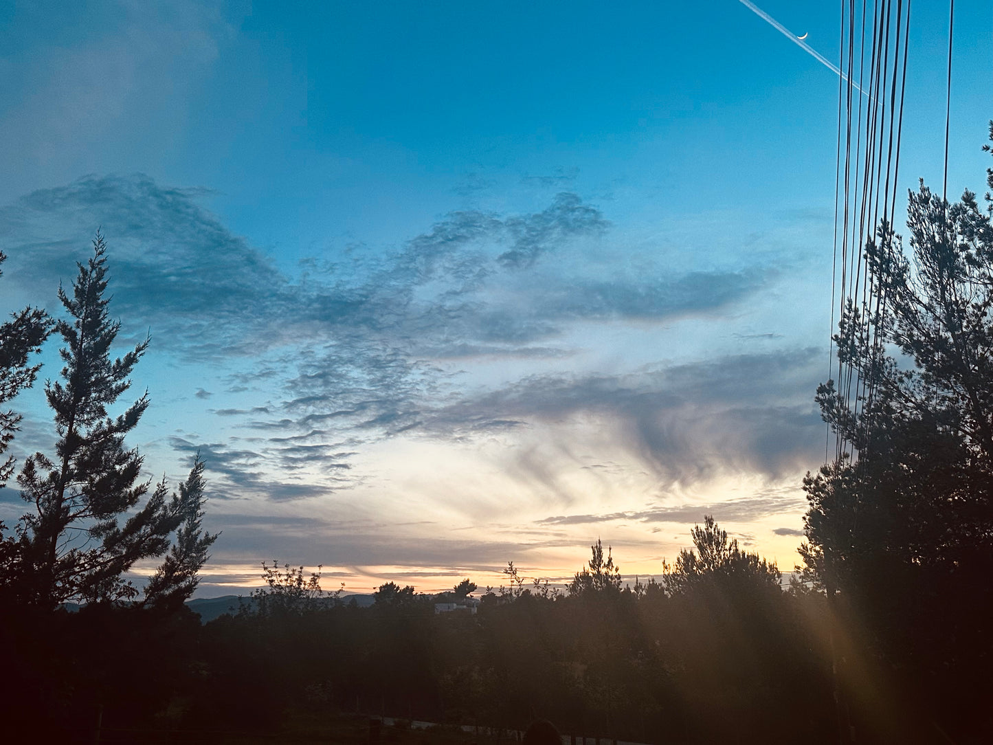 5-Day Longevity Luxury Lifestyle reset, IBIZA  (April, May 2026)