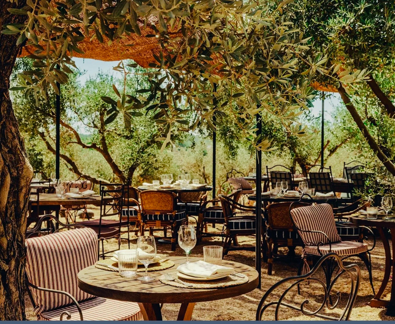 5-Day Longevity Luxury Lifestyle reset, IBIZA  (April, May 2026)