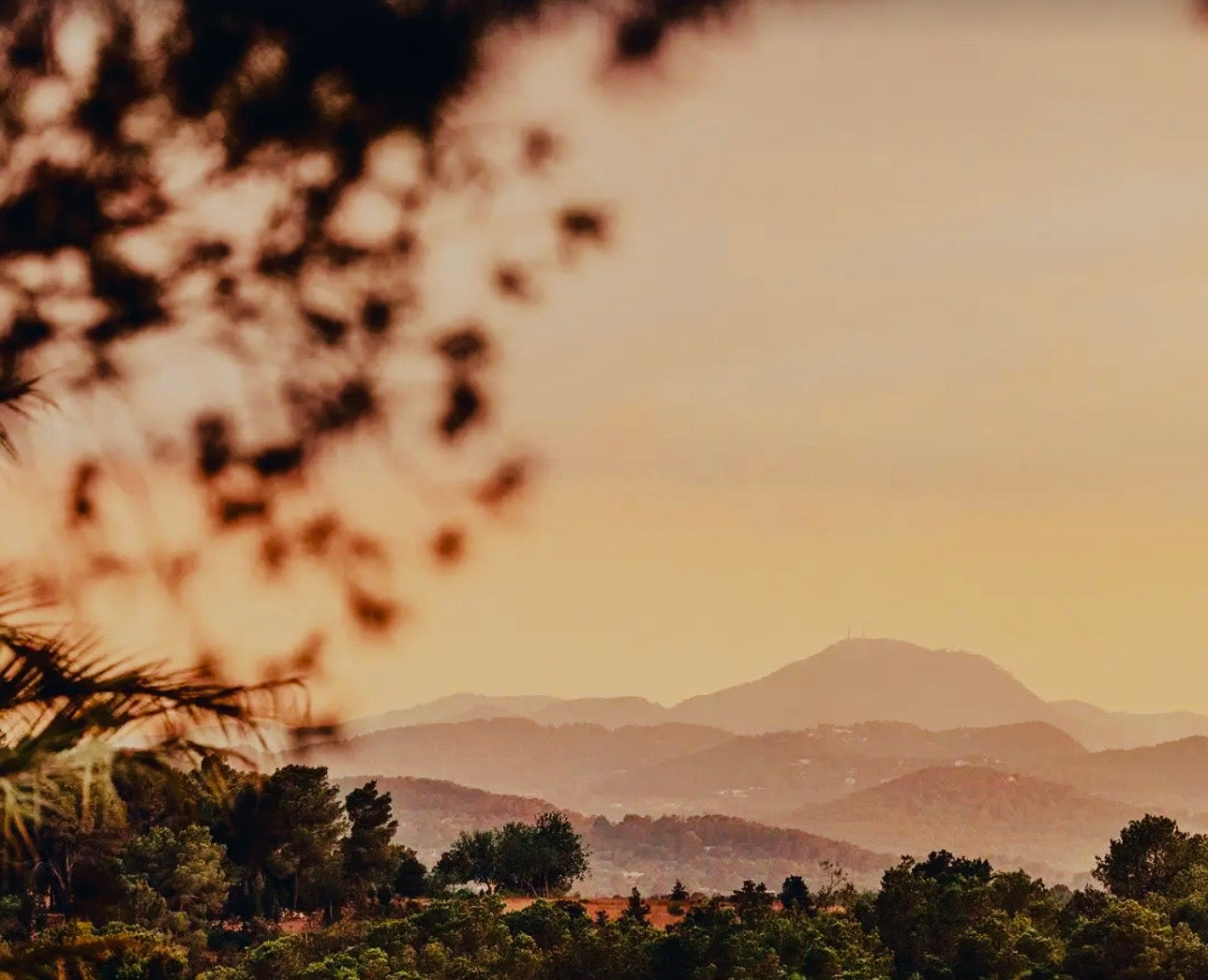 5-Day Longevity Luxury Lifestyle reset, IBIZA  (April, May 2026)