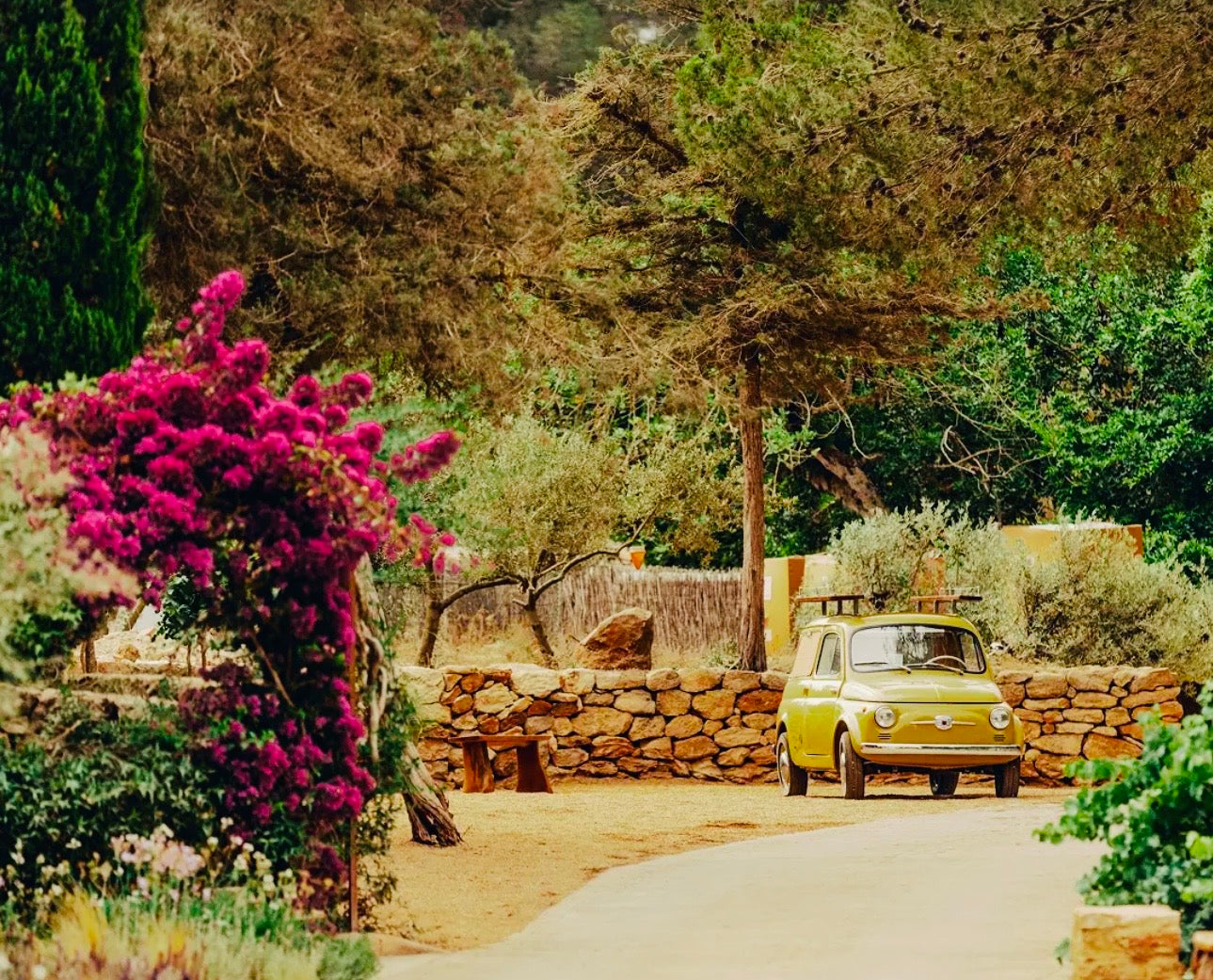 5-Day Longevity Luxury Lifestyle reset, IBIZA  (April, May 2026)