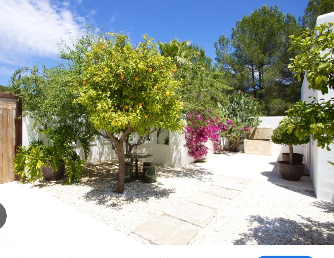 5-Day Alchemy, Activation & Yoga retreat, IBIZA   (September 12-16, 2024)