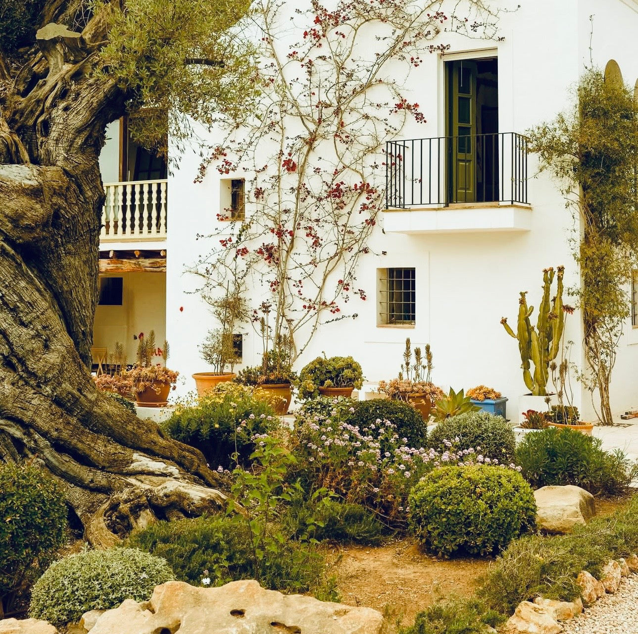 5-Day Longevity Luxury Lifestyle reset, IBIZA  (April, May 2026)